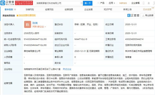北京智行戰(zhàn)略布局湖南，投資新公司搶占信息系統(tǒng)集成服務(wù)市場(chǎng)